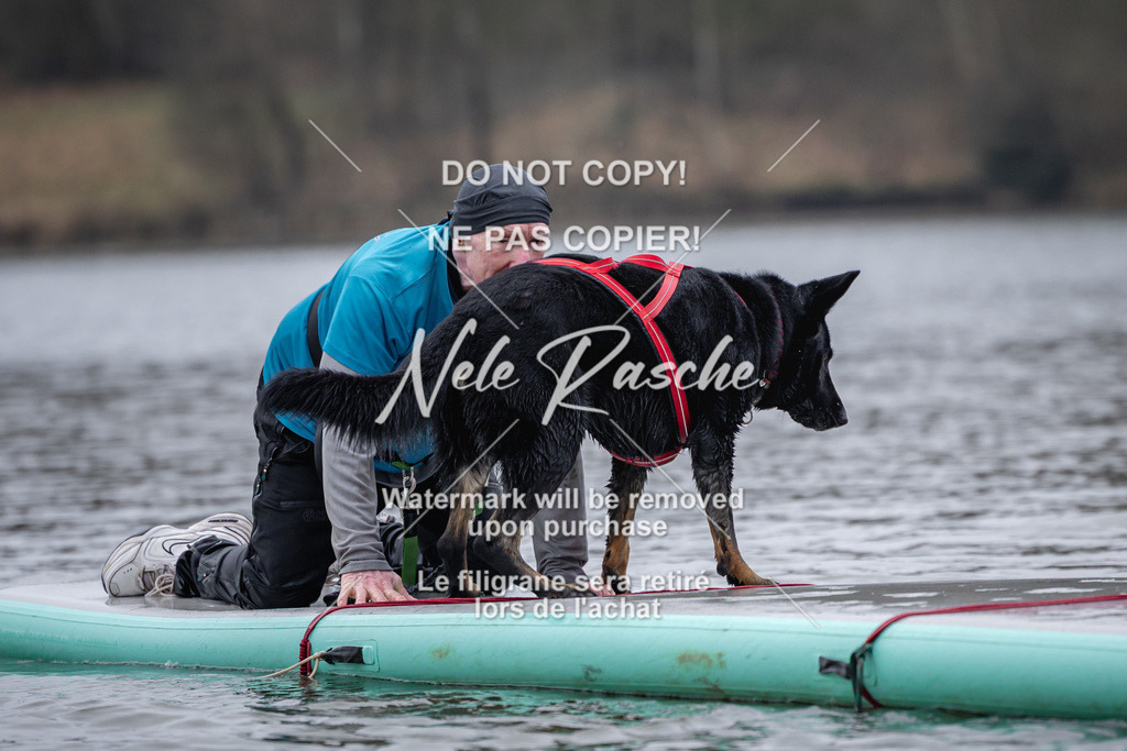 nelerasche_Hulsbeek_Sa1600-1700_309 | nelerasche