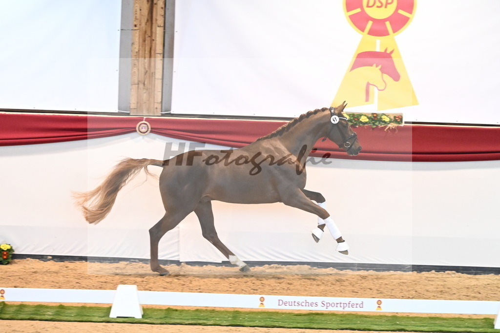 Kat.-Nr. 41 v. Donier_Beckmann_2240446 | hf-fotografie - Realisiert mit Pictrs.com