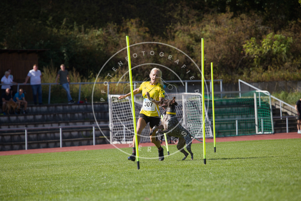 0L8A8209 | Hundefotografie, Tierfotograf, Pfotenfotografie, Fotoshooting Hund, Hunde Portrait, Hundesport, Hundeportraits, Heideshooting, Hunde, Sportfotograf, Hundefotograf, Turnierhundsport, THS,  - Realisiert mit Pictrs.com