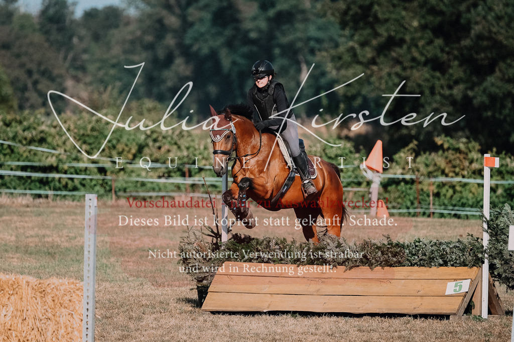 DSC_8981 | Pferde- und Turnierfotografie in Westsachsen. Pferdeportraits, Auftragszeichnungen und intuitive Kunst.