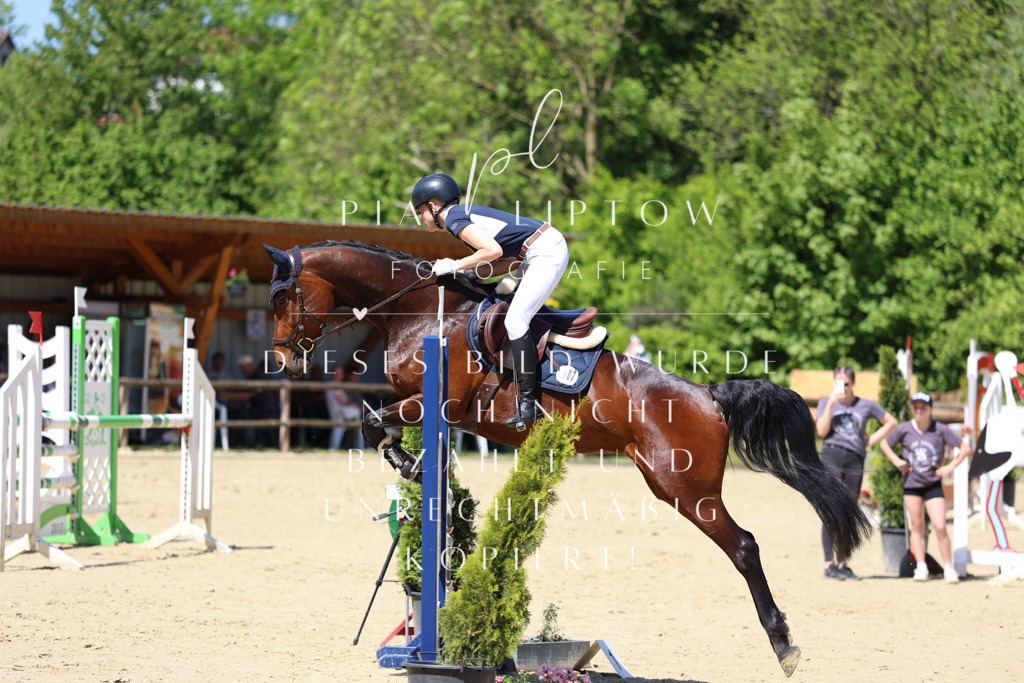 IMGS8181 | pl-fotografie