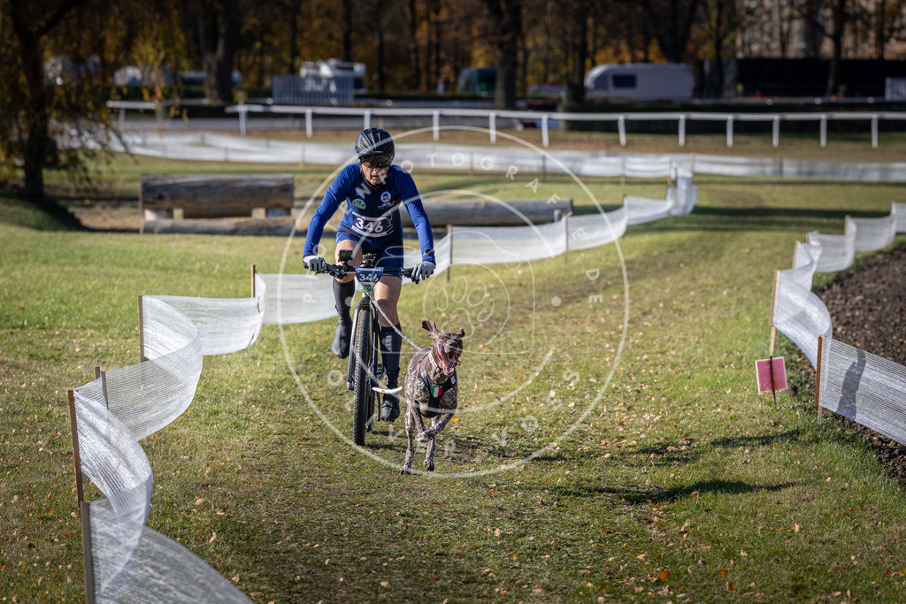 CaniXpix_DV3A6955 | Hundefotografie, Tierfotograf, Pfotenfotografie, Fotoshooting Hund, Hunde Portrait, Hundesport, Hundeportraits, Heideshooting, Hunde, Sportfotograf, Hundefotograf, Turnierhundsport, THS,  - Realisiert mit Pictrs.com