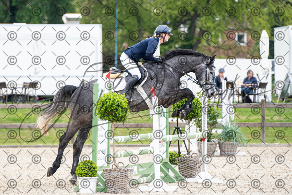 KPT_2243 | andre_photographic