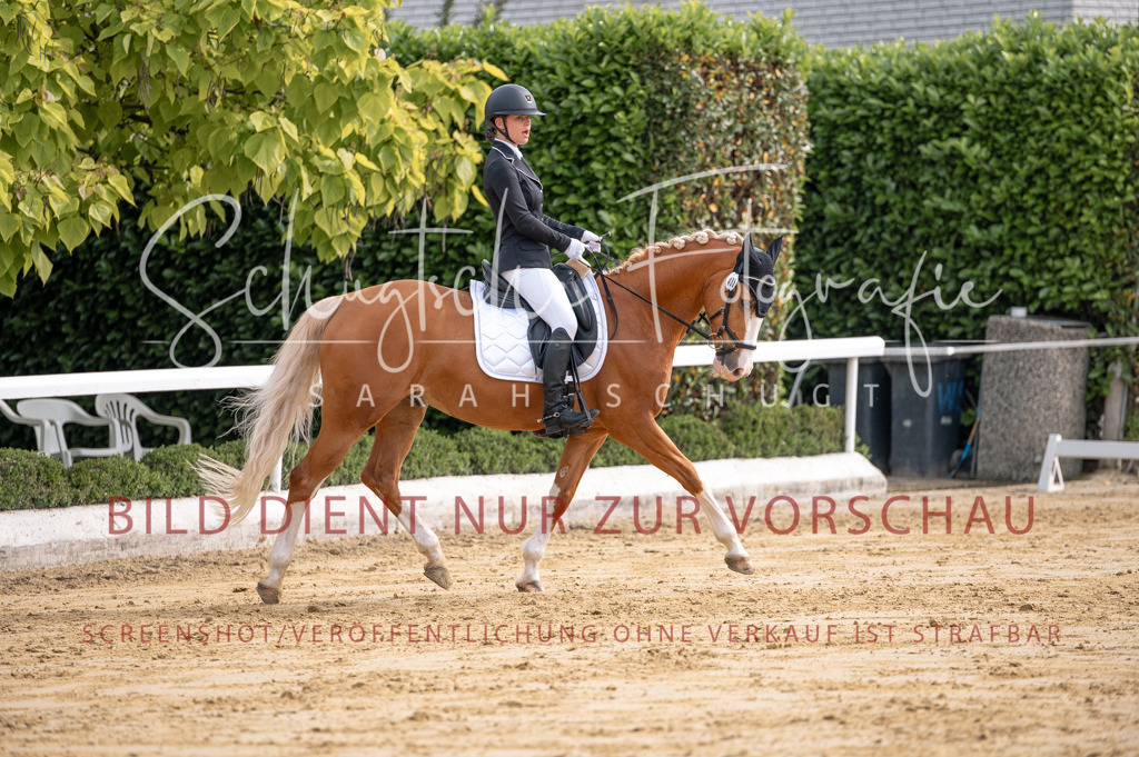 Schugtsche-Aluta25-40.DressurprfA_-163 | Schugtsche Fotografie - Realisiert mit Pictrs.com