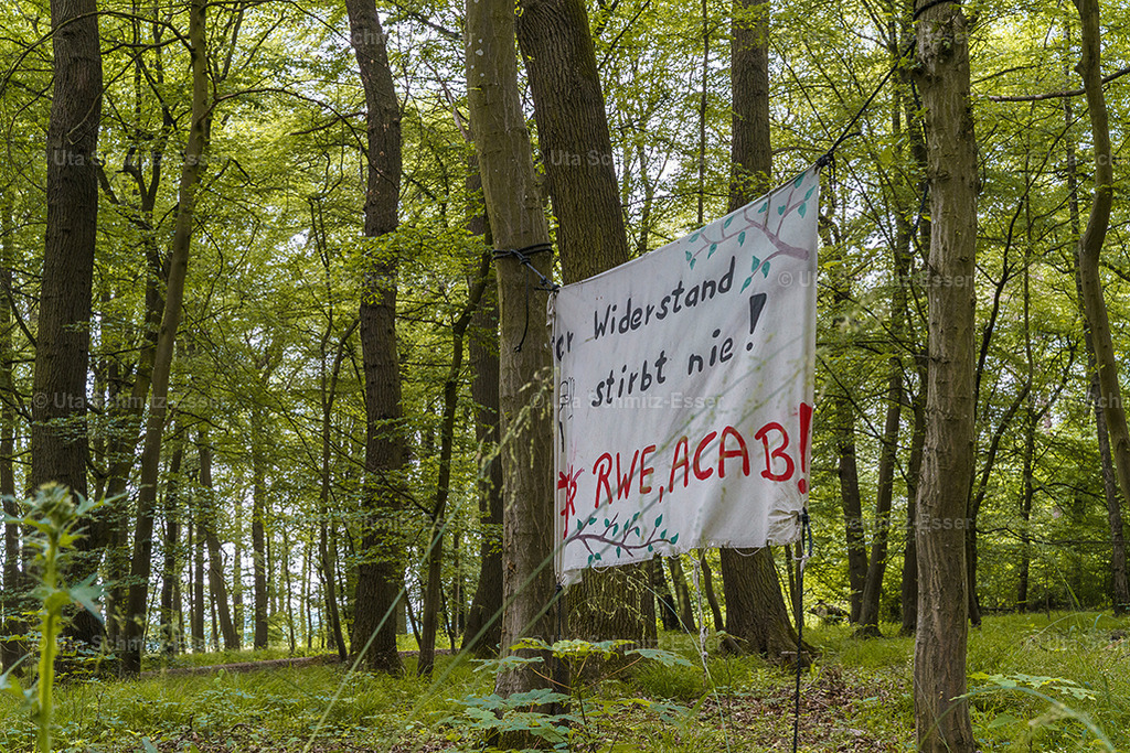 Hambacher-Forst_13 | CEUS Design - Realisiert mit Pictrs.com