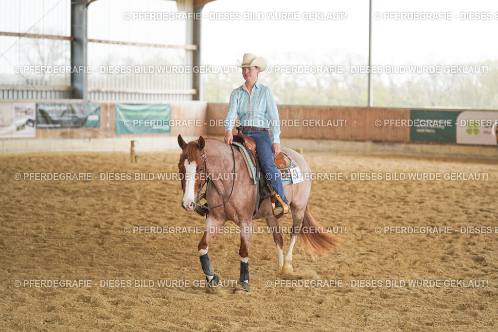 DSC05676 | Pferdegrafie