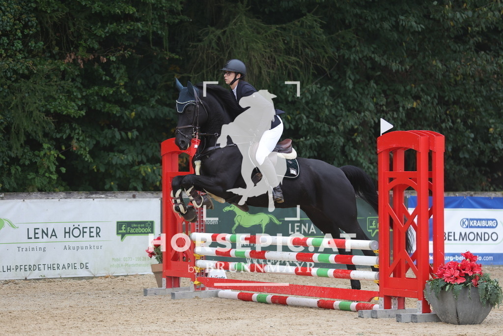 0P6A0868 | Willkommen bei Brunnmayr - Design & Fotografie – Ihrem Spezialisten für Reitturniere und Pferdeveranstaltungen in Oberösterreich, Salzburg und Bayern! Seit über 17 Jahren sind wir leidenschaftlich dabei.