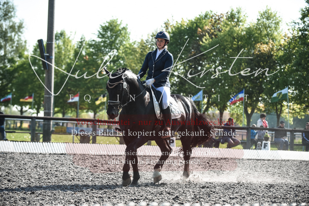 DSC_8492 | Pferde- und Turnierfotografie in Westsachsen. Pferdeportraits, Auftragszeichnungen und intuitive Kunst.