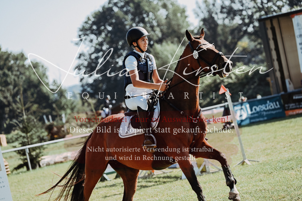DSC_5424 | Pferde- und Turnierfotografie in Westsachsen. Pferdeportraits, Auftragszeichnungen und intuitive Kunst.