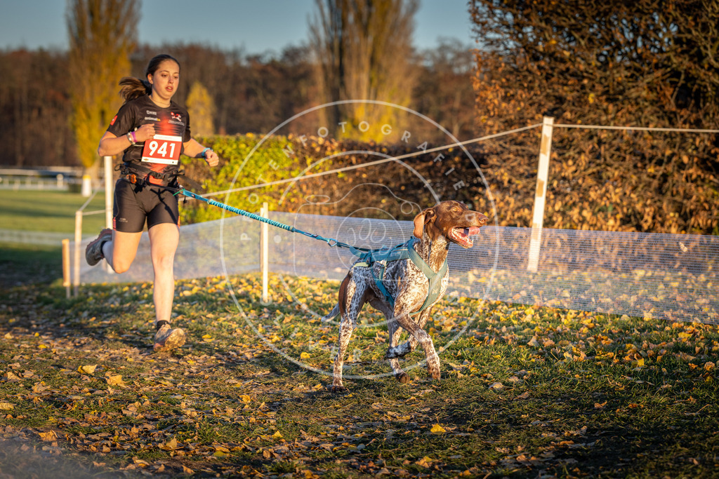CaniXpix_DV3A5415 | Hundefotografie, Tierfotograf, Pfotenfotografie, Fotoshooting Hund, Hunde Portrait, Hundesport, Hundeportraits, Heideshooting, Hunde, Sportfotograf, Hundefotograf, Turnierhundsport, THS,  - Realisiert mit Pictrs.com