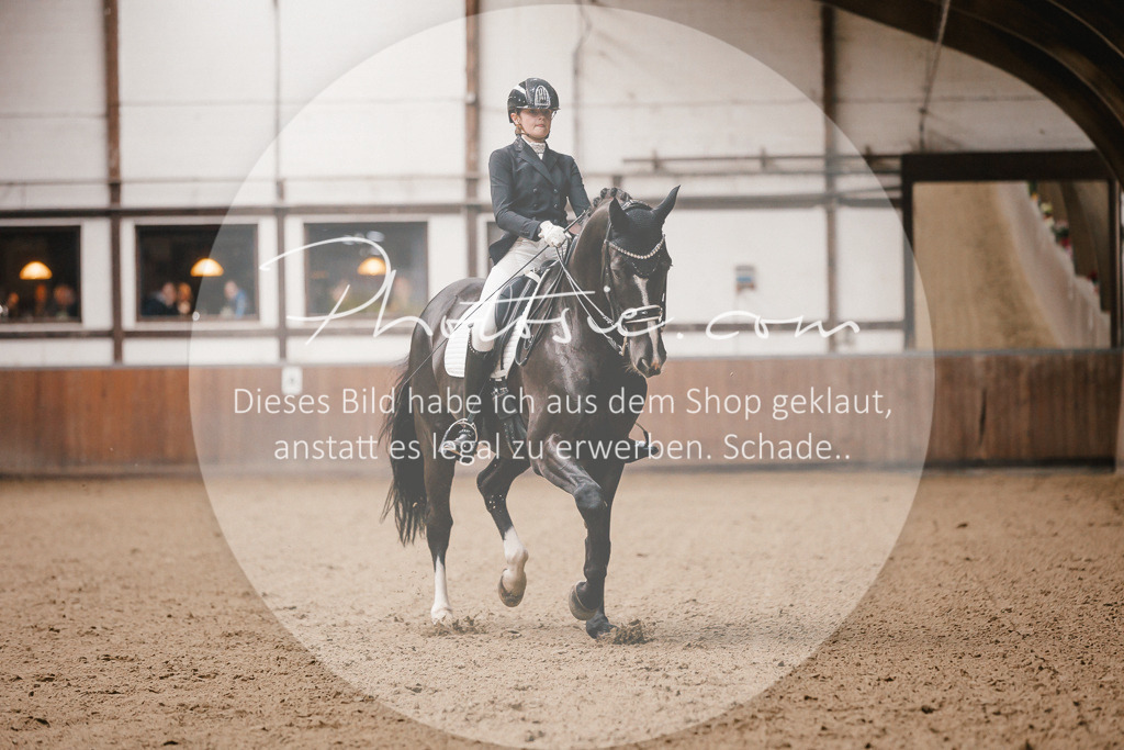 3I6A8829 | Stimmungsvolle Portraits und Reitsportfotografie im Ruhrgebiet und im Münsterland.

Pferdefotografie, Hundefotografie, Tierfotografie, Reportagen, Portraits von Tier und Mensch, Turnierfotografie in Bochum, Recklinghausen, Marl, Haltern am See, Dülmen.. - Realisiert mit Pictrs.com