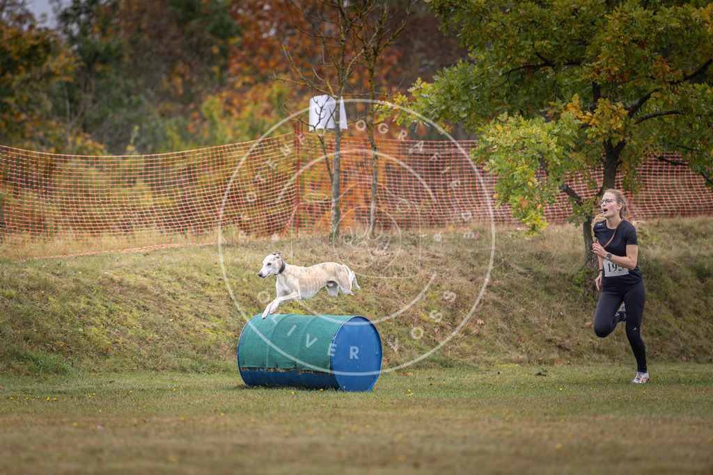 Pfotenfotografie_DV3A1359 | Hundefotografie, Tierfotograf, Pfotenfotografie, Fotoshooting Hund, Hunde Portrait, Hundesport, Hundeportraits, Heideshooting, Hunde, Sportfotograf, Hundefotograf, Turnierhundsport, THS,  - Realisiert mit Pictrs.com