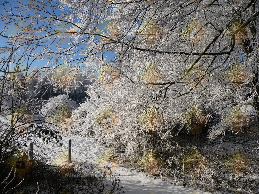 P1000218 | Fotoseite Wolkenblende - Das Hobby fotografieren begleitet mich schon  viele  Jahre. Auf den nächsten Seiten zeige ich ein paar Schnappschüsse der letzten Jahre und es kommen immer neue hinzu. Schau einfach mal rein. - Realisiert mit Pictrs.com