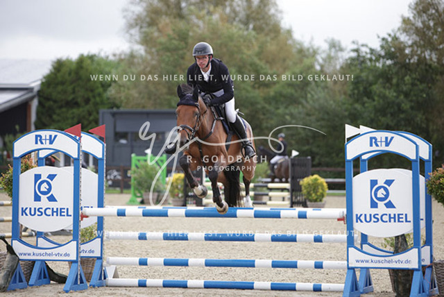 1J2A9224Clemens Drabsch_ Queens First_ Kn863_ Havekost | Foto- und Videografie für alles rund ums Pferd. Hochwertige Bilder und Videos vom Spring- und Dressurreiten, Voltigieren & mehr. Jetzt aktuelle Veranstaltungen und Preise im Shop ansehen. - Realisiert mit Pictrs.com