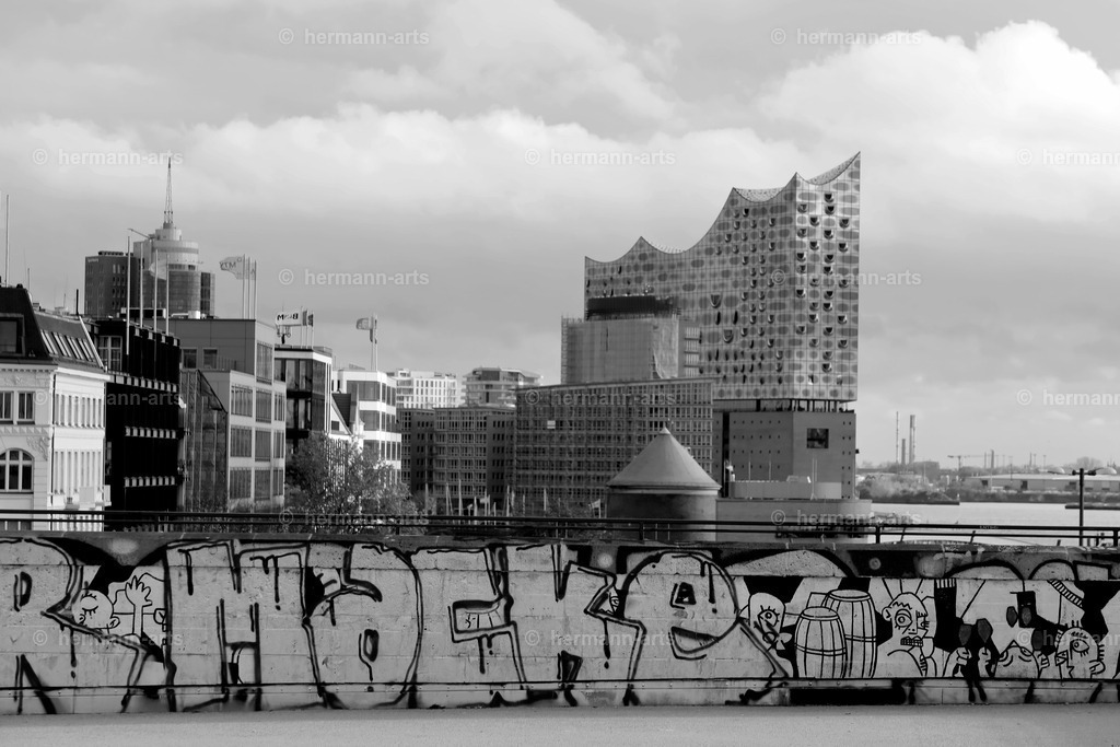 Hamurg_Arts-036 | Photo Foto Kunst Art schwarzweiss Bilder Rheine Münster Berlin Blumen 