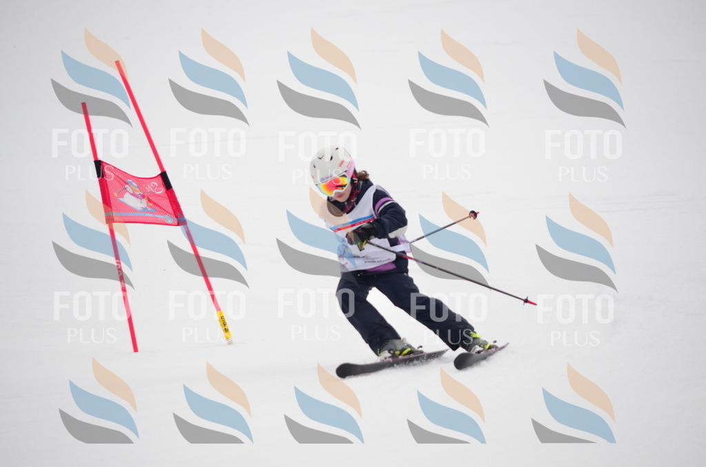 C0181 | holidayphoto