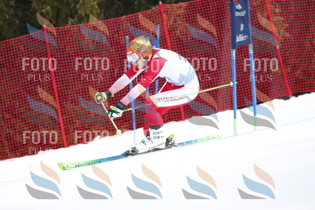 D8233 | holidayphoto