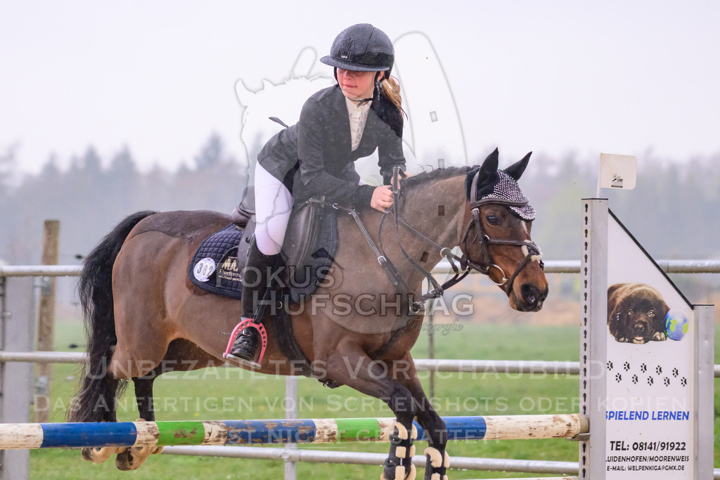 10042026-Mammendorf-Prfg14-0424 | Fokus Hufschlag Fotografie - Realisiert mit Pictrs.com