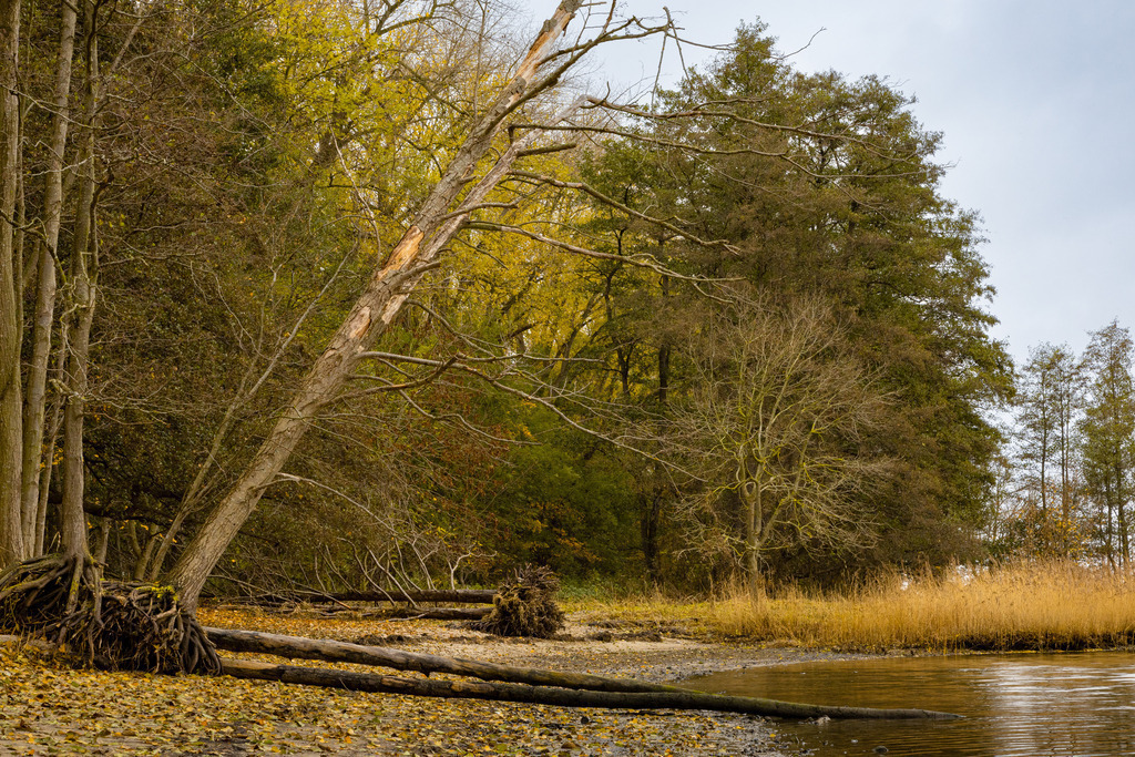 Zierow im Herbst | Ruhige Herbststimmung am Ostsee-Ufer von Zierow in Mecklenburg-Vorpommern im November 2023 - Realisiert mit Pictrs.com