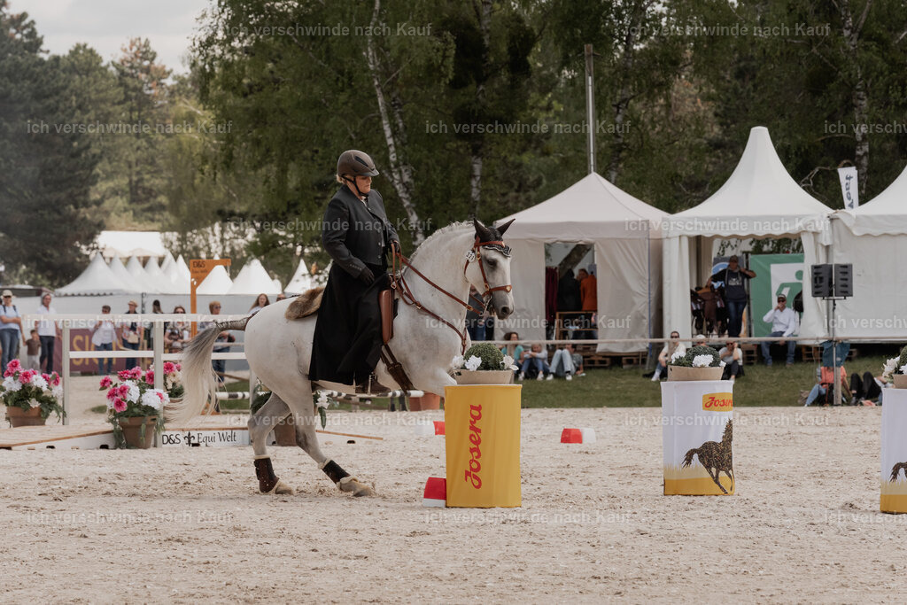 WE_ST_Stoib_321_PI2025_1137 | Pferd International München 2025