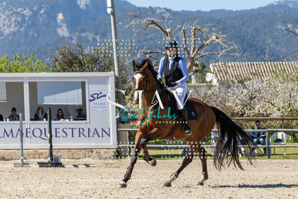 IMG_0183 | s-jay-photography - Realisiert mit Pictrs.com