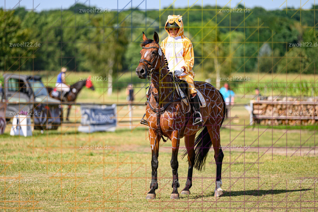 30 Jahre RFV Pulsnitz e.V., Pulsnitz am 09.08.2026 | Zur 28. breitensportlichen Veranstaltung des RFV Pulsnitz e.V. fanden verschiedene Wettbewerbe in nahezu allen Disziplinen des Pferdesport statt. - 05 Kostüm-Stilspring-Wettbewerb - Realisiert mit Pictrs.com