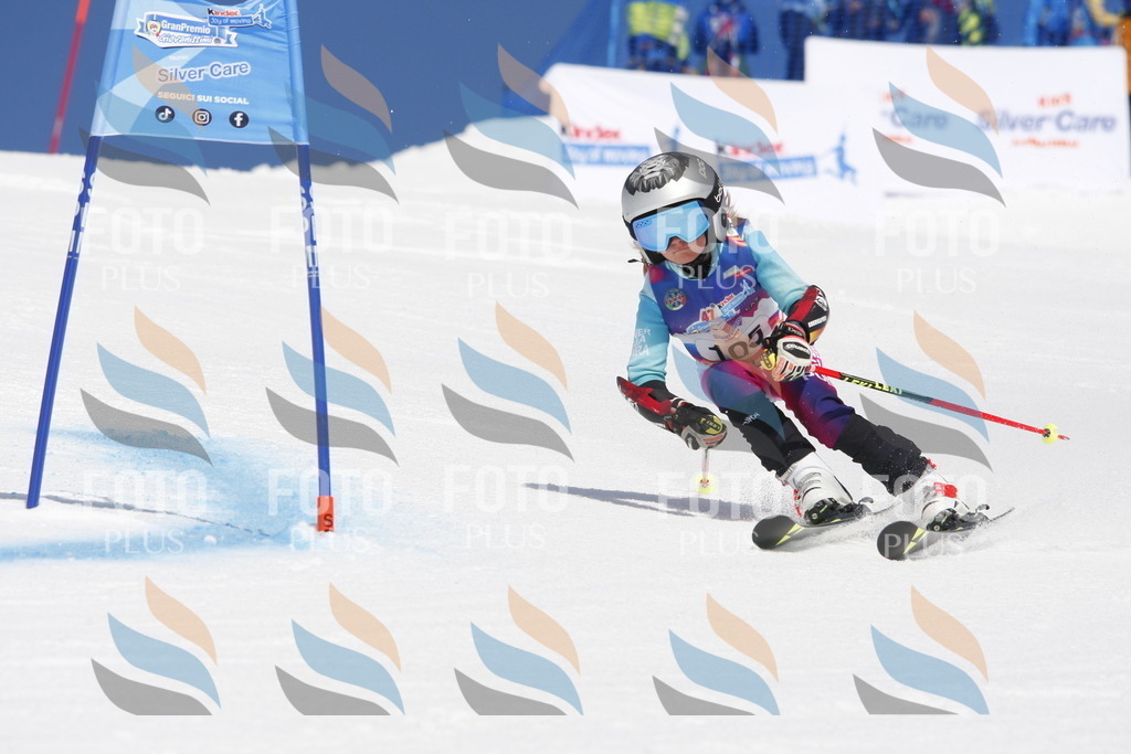 _W1G1581 | holidayphoto