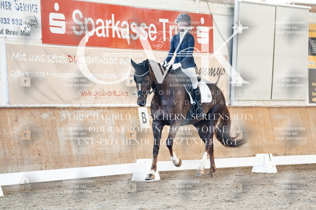 CK906873 | Turnierfotografie Pferdefotografie Trier Rheinland-Pfalz Pferdesport Reitsport Tierfotografie Sportfotografie Pferdevideo Pferdevideografie Equestrianvideography equestrianphotography  - Realisiert mit Pictrs.com