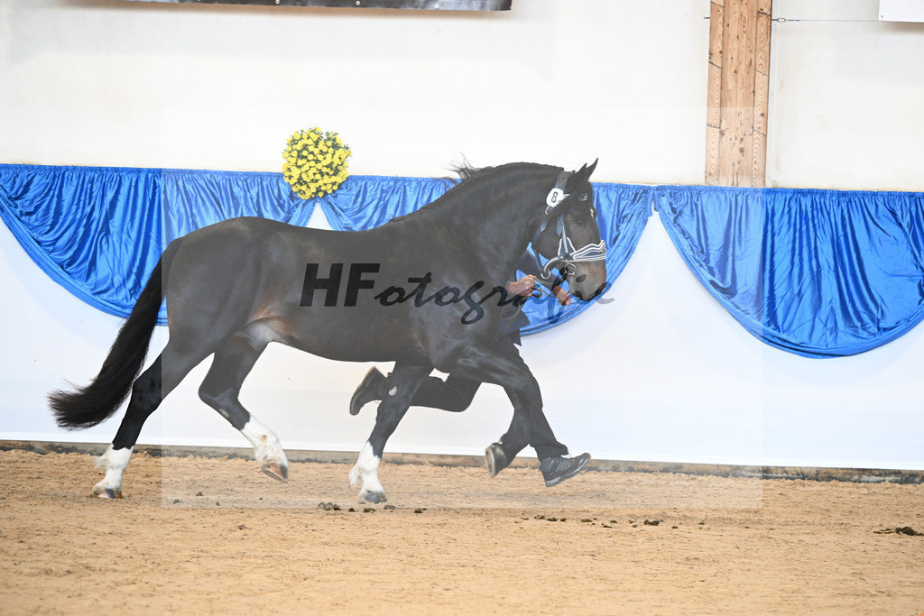 Kat-Nr. 8 nn v. Rembrandt_HLG Schwaiganger_39250134 | hf-fotografie - Realizzato con Pictrs.com