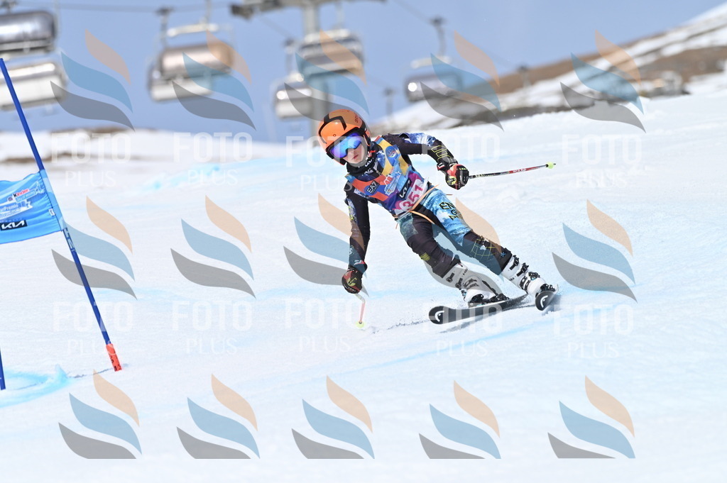 BGV_3656 | holidayphoto