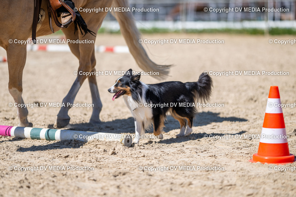 LM Heiligenwald Tag 1-1559 | dv-media-shop - Realisiert mit Pictrs.com