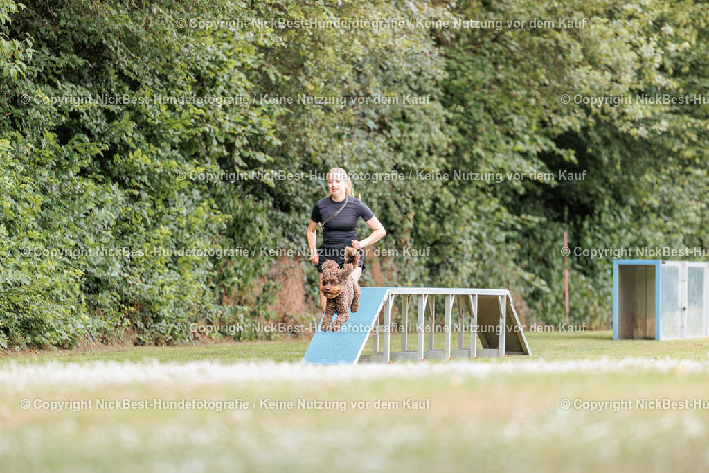 THS-Quakenbrück-2026-Nickbest-Hundefotografie-3162 | Dein Hund! Dein Moment! Deine Erinnerungen! Hundefotografie in Bremen Blumenthal. Ich fange die besonderen Momente deines Vierbeiners ein – ob Indoor mit Blitzanlage oder in der freien Natur. Sicher dir dein Moment und dein Termin für eure Erinnerungen.