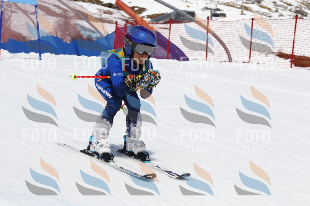 _U3G7808 | holidayphoto