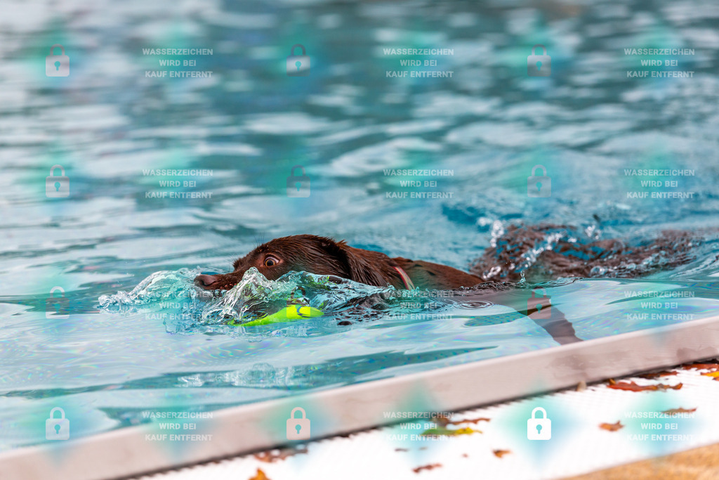 _HP_6048_fullo | HetPix, HetPix Fotodesign, Fotografie, Fotodesign, Webshop, Sportfotografie, Portraitfotografie, Onlineshop, Sportfotografie, Polch, Motorsportfotografie, Eventfotografie