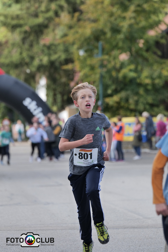 D (487) | Foto Buchgraber