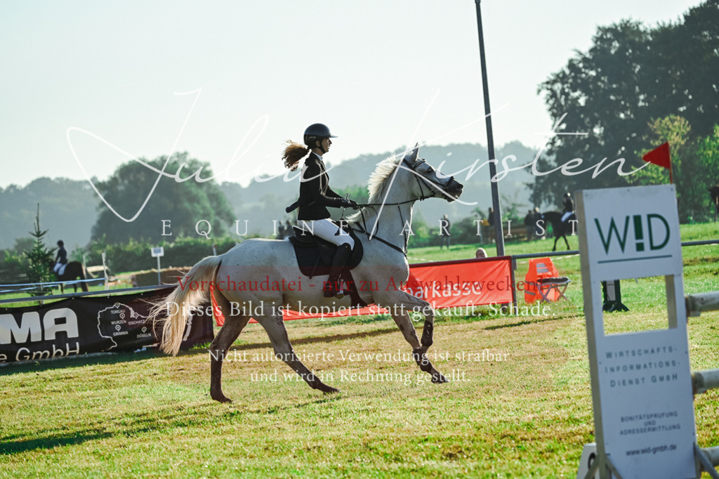 DSC_4031 | Pferde- und Turnierfotografie in Westsachsen. Pferdeportraits, Auftragszeichnungen und intuitive Kunst.