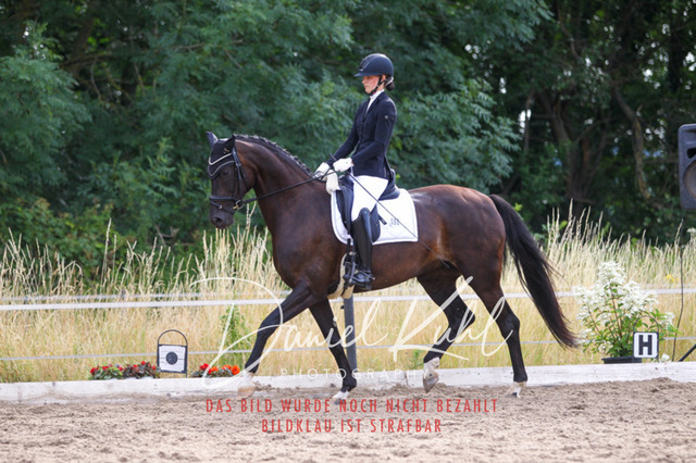 DKP45674 | Turniersportfotografie; Pferdefotografie; Dressurfotografie