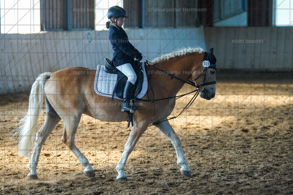 20230916-FAH08708 | Landsberg am Lech 2023, Turnierbildern, Turnierbilder Bayern, Reitsportfotograf, Pferdefotograf Bayern, Turnierfotos Landsberg, Fotoagentur Herrmann, Turnierfotografen Bayern