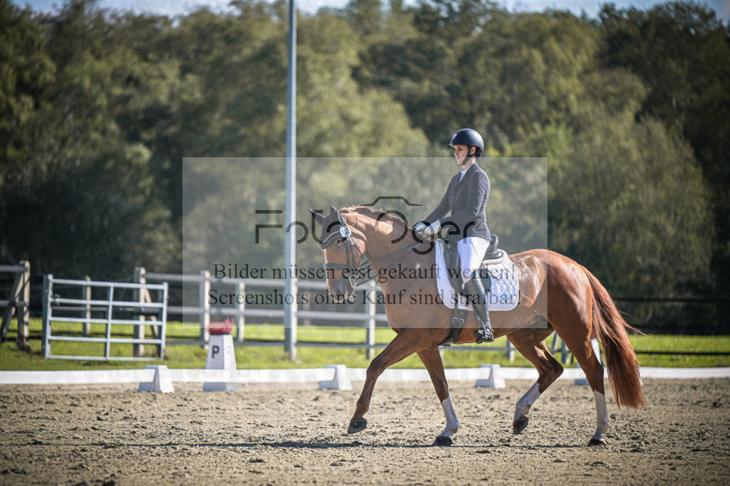 DOS_2662 | Entdecke hochwertige Reitturnierfotos von Foto Oger. Professionell, emotional und authentisch – jetzt Lieblingsmomente im Shop bestellen.Deutschlandweite Turnierfotografie. - Realisiert mit Pictrs.com