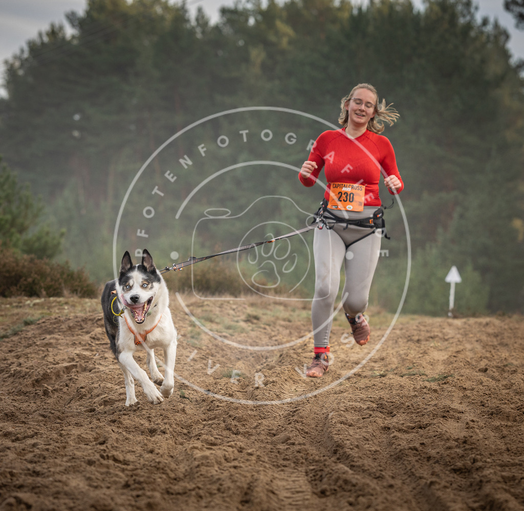 Pfotenfotografie_DV3A5509 | Hundefotografie, Tierfotograf, Pfotenfotografie, Fotoshooting Hund, Hunde Portrait, Hundesport, Hundeportraits, Heideshooting, Hunde, Sportfotograf, Hundefotograf, Turnierhundsport, THS,  - Realisiert mit Pictrs.com