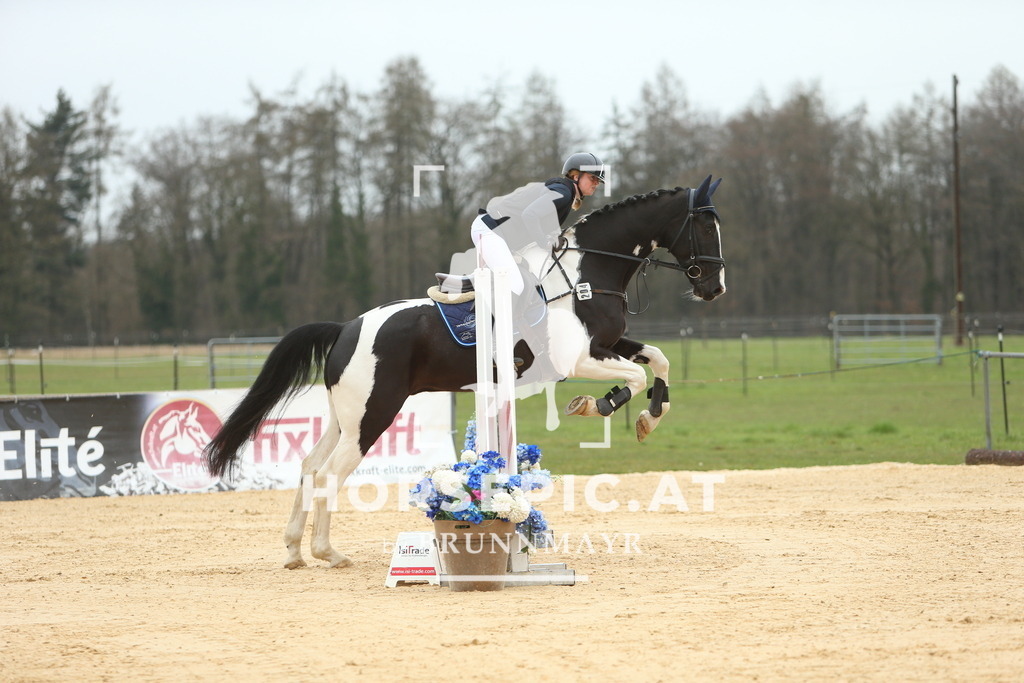 DL2Q1335 | Willkommen bei Brunnmayr - Design & Fotografie – Ihrem Spezialisten für Reitturniere und Pferdeveranstaltungen in Oberösterreich, Salzburg und Bayern! Seit über 17 Jahren sind wir leidenschaftlich dabei.