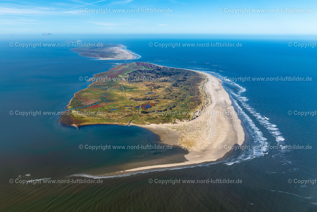 Baltrum_ELS_6265091022 | BALTRUM 09.10.2022 Küstenbereich der Nordsee - Insel in Baltrum im Bundesland Niedersachsen, Deutschland. Weiterführende Informationen bei: Nordseeheilbad Insel Baltrum. // Coastal area North Sea - Island in Baltrum in the state Lower Saxony, Germany. Further information at: Nordseeheilbad Insel Baltrum. Foto: Martin Elsen