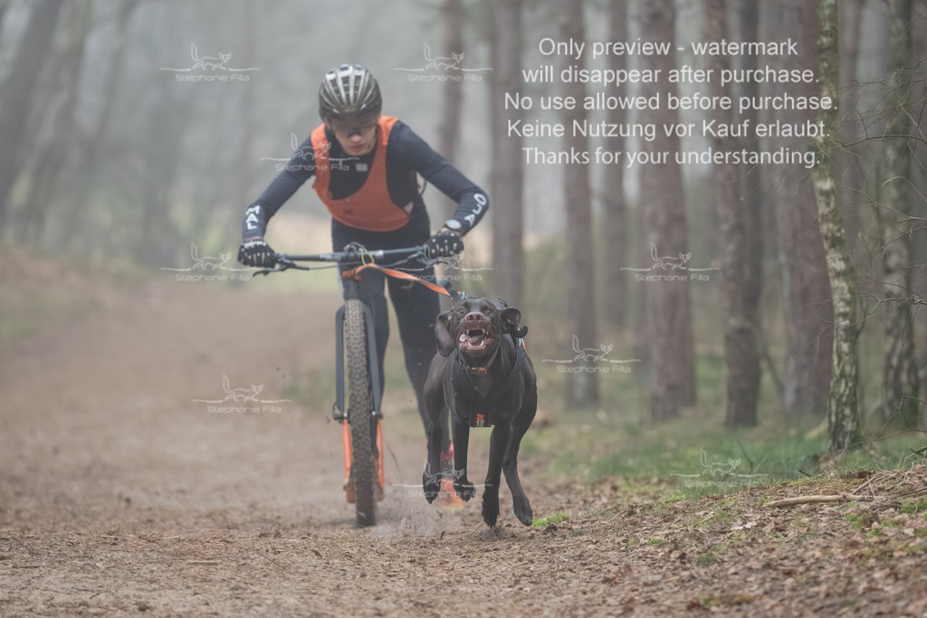 Scooter1-6 | stephaniefillaphotographie - Realisiert mit Pictrs.com