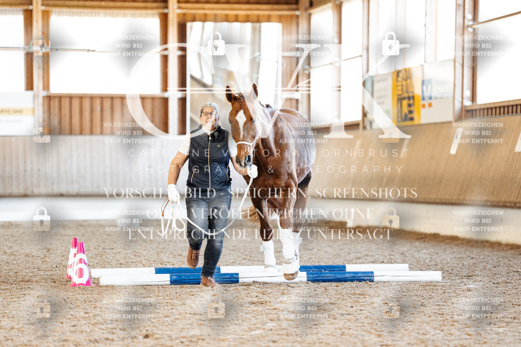 CK906158 | Turnierfotografie Pferdefotografie Trier Rheinland-Pfalz Pferdesport Reitsport Tierfotografie Sportfotografie Pferdevideo Pferdevideografie Equestrianvideography equestrianphotography  - Realisiert mit Pictrs.com