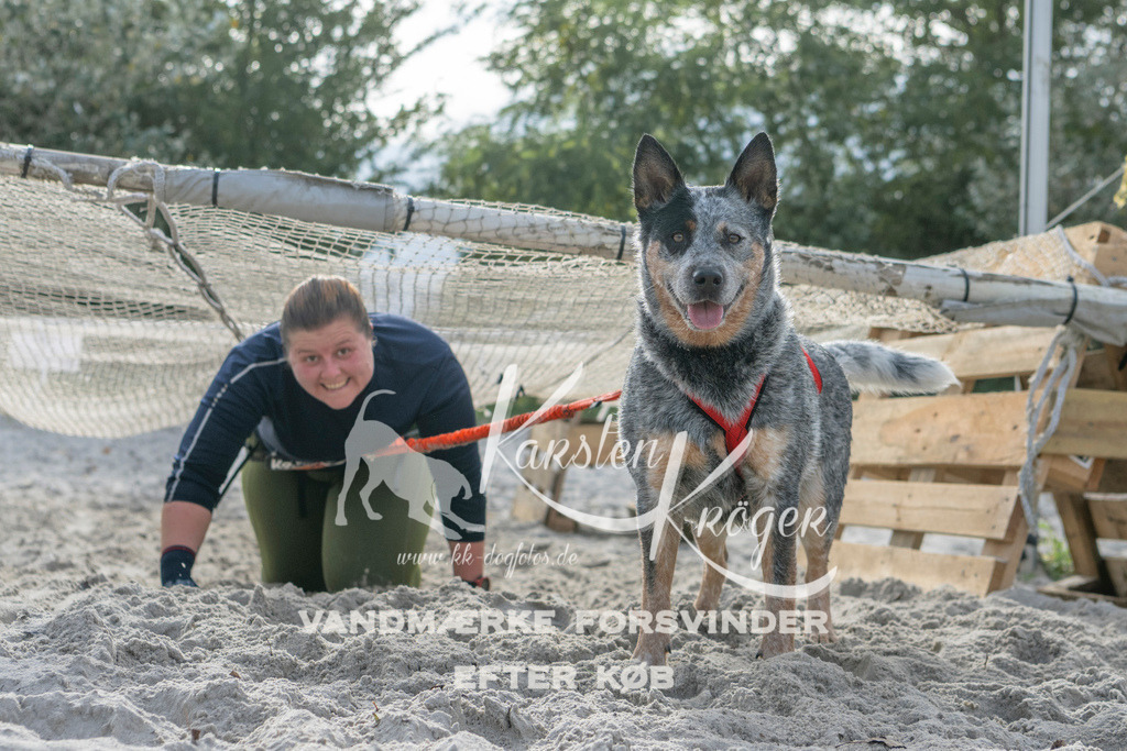 1158_ZZ99635 | kk-dogfotos