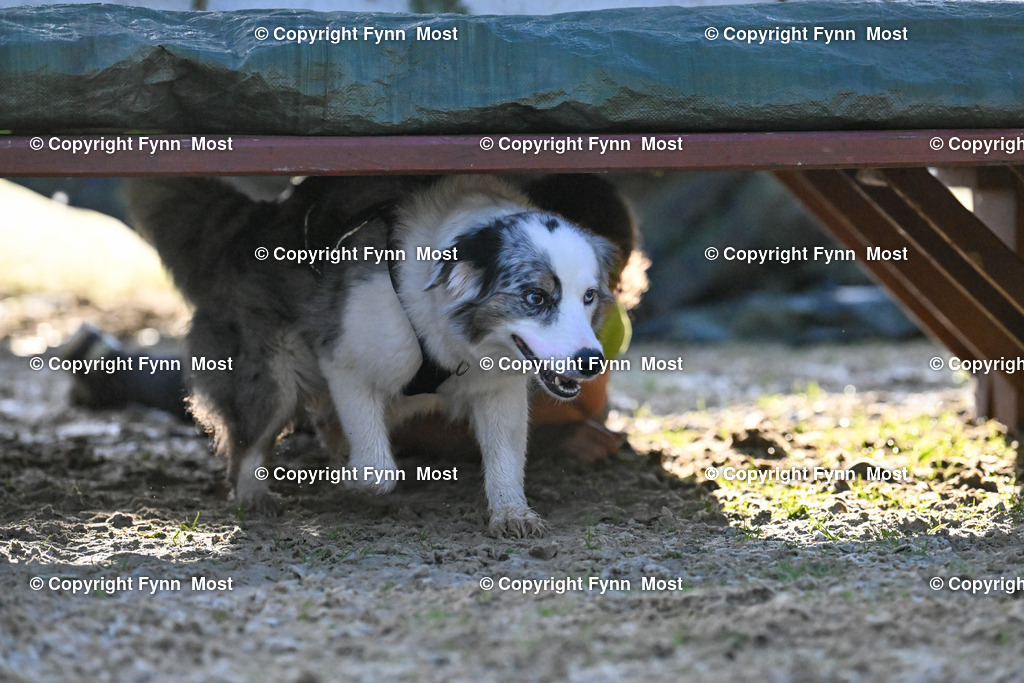 DSC_2147 | Hallo und herzlich Willkommen auf meiner Shop-Seite Fynn Most.

Ich wünsche Dir viel Spaß beim stöbern durch die Bilder, wenn Du Fragen hast oder Bilder vermisst, kannst du mir gerne eine Nachricht schreiben. - Realisiert mit Pictrs.com