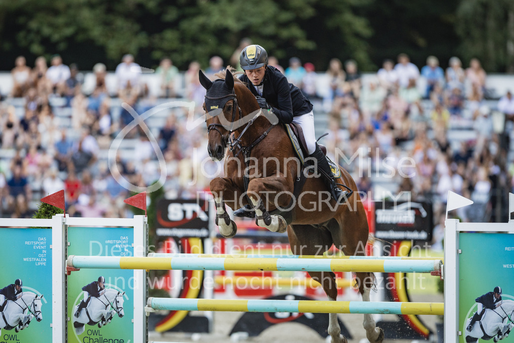 230909_OWLCh_Championat-556 | Deine schönsten Turniermomente als professionelle Fotos! Entdecke hochwertige Pferdesport-Fotografie im Online-Shop. Jetzt Fotos finden & bestellen!