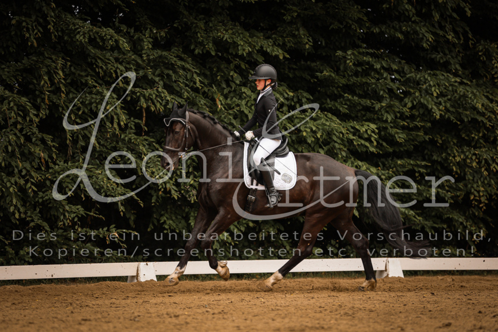 DoDrE00225 | Leoni Ertmer Photography - Realisiert mit Pictrs.com