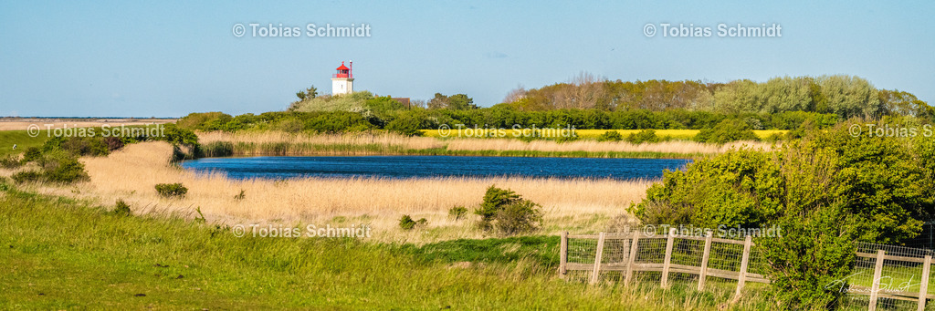 Fehmarn__DSC5830-2 | Fotoprodukte, Kalender und Wanddeko direkt vom Fotografen auf Fehmarn. Ob Wandbild auf Alu-Dibond, hinter Acrylglas oder auf Leinwand – hier können Sie Ihr Lieblingsbild kaufen. - Realisiert mit Pictrs.com