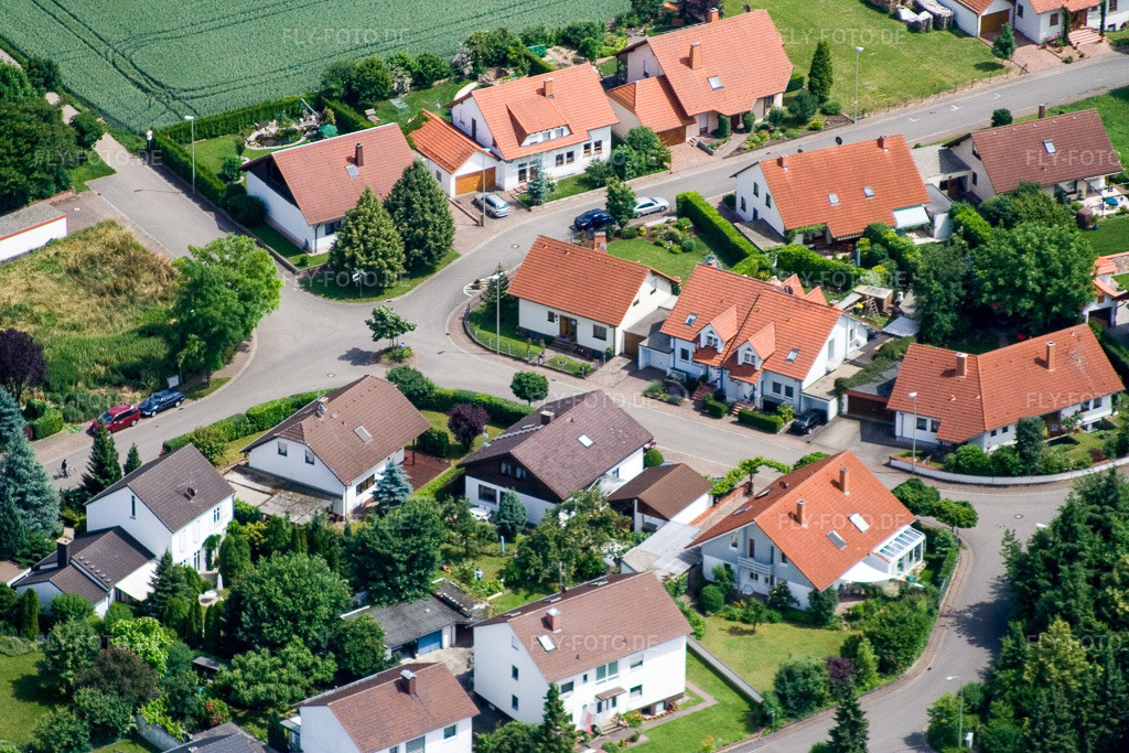 Luftbild: In den Rappengärten in Steinweiler im Bundesland Rheinland-Pfalz in Deutschland. Foto: IMG_11238.jpg vom 14.06.2008 durch Werner Riehm/FLY-FOTO.de